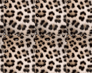 pic for bigcat  
